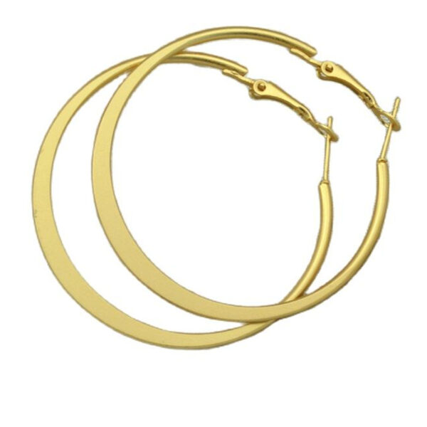 Creolen für Frauen matt Gold Silber großen Kreis Beschichtung runden Modetrend Schmuck schnell Großhandel Damen Mädchen feine Ohrringe